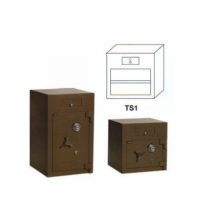 ts1