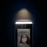 day-night